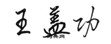 駱恆光王蓋功行書個性簽名怎么寫