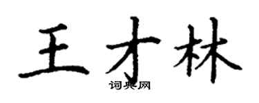 丁謙王才林楷書個性簽名怎么寫