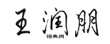 駱恆光王潤朋行書個性簽名怎么寫