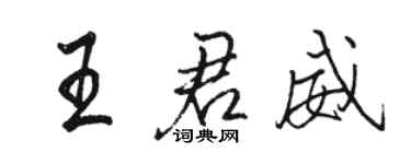 駱恆光王君威行書個性簽名怎么寫