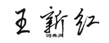 駱恆光王新紅行書個性簽名怎么寫
