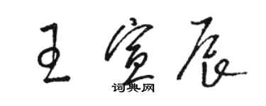 駱恆光王宣辰草書個性簽名怎么寫