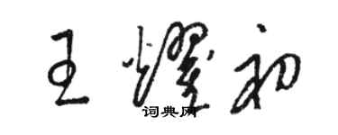 駱恆光王耀初草書個性簽名怎么寫