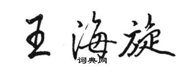 駱恆光王海旋行書個性簽名怎么寫
