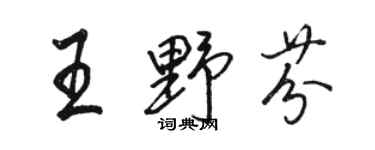 駱恆光王野芬行書個性簽名怎么寫