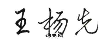 駱恆光王楊先行書個性簽名怎么寫