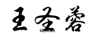 胡問遂王聖蓉行書個性簽名怎么寫