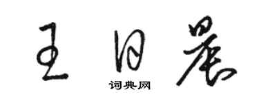 駱恆光王日晨草書個性簽名怎么寫