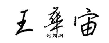 王正良王華宙行書個性簽名怎么寫