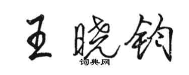 駱恆光王曉鈞行書個性簽名怎么寫