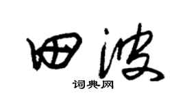 朱錫榮田波草書個性簽名怎么寫