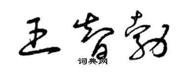 曾慶福王智勃草書個性簽名怎么寫