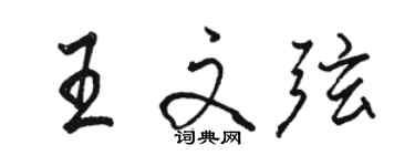 駱恆光王文弦行書個性簽名怎么寫