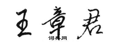 駱恆光王章君行書個性簽名怎么寫