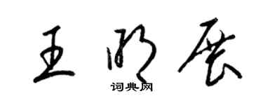 梁錦英王明展草書個性簽名怎么寫