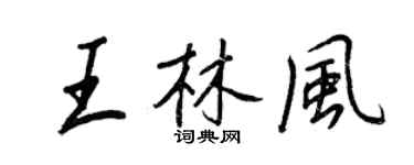 王正良王林風行書個性簽名怎么寫