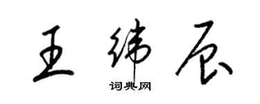 梁錦英王緯辰草書個性簽名怎么寫