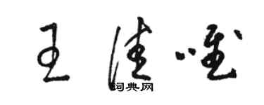 駱恆光王佳唯草書個性簽名怎么寫