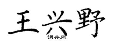 丁謙王興野楷書個性簽名怎么寫