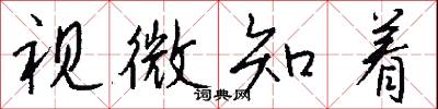 視微知著怎么寫好看