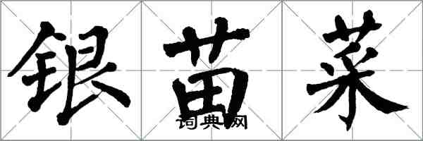 翁闓運銀苗菜楷書怎么寫