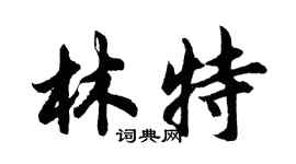 胡問遂林特行書個性簽名怎么寫
