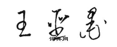 駱恆光王聖墨草書個性簽名怎么寫