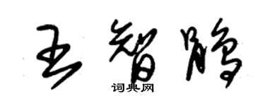 朱錫榮王智鵑草書個性簽名怎么寫