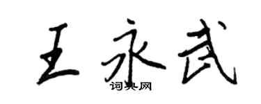 王正良王永武行書個性簽名怎么寫