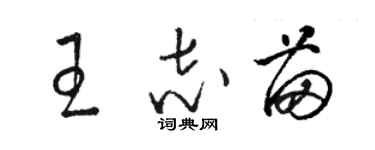 駱恆光王志苗草書個性簽名怎么寫