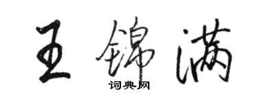 駱恆光王錦滿行書個性簽名怎么寫