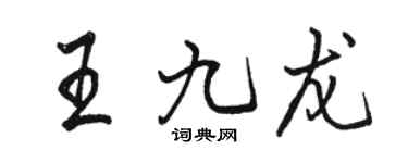 駱恆光王九龍行書個性簽名怎么寫
