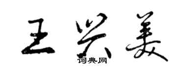 曾慶福王興美行書個性簽名怎么寫