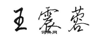 駱恆光王震蓉行書個性簽名怎么寫