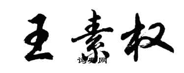 胡問遂王素權行書個性簽名怎么寫