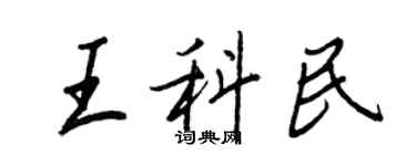 王正良王科民行書個性簽名怎么寫