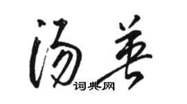 駱恆光湯英草書個性簽名怎么寫