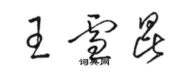 駱恆光王雪昆草書個性簽名怎么寫