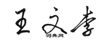 駱恆光王文李行書個性簽名怎么寫