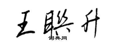 王正良王聯升行書個性簽名怎么寫