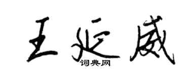 王正良王延威行書個性簽名怎么寫