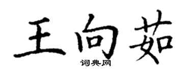 丁謙王向茹楷書個性簽名怎么寫