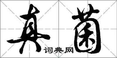 胡問遂真菌行書怎么寫