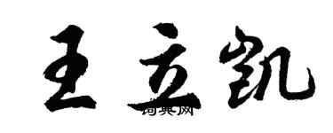 胡問遂王立凱行書個性簽名怎么寫