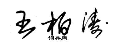 朱錫榮王柏濤草書個性簽名怎么寫