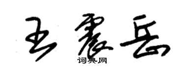 朱錫榮王震岳草書個性簽名怎么寫