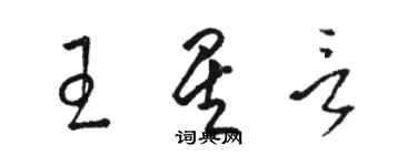 駱恆光王星言草書個性簽名怎么寫