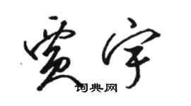 駱恆光賈宇草書個性簽名怎么寫