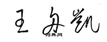 駱恆光王舟凱草書個性簽名怎么寫