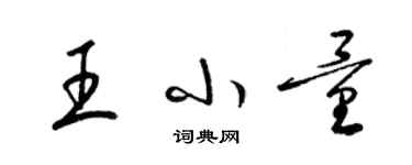 梁錦英王小量草書個性簽名怎么寫